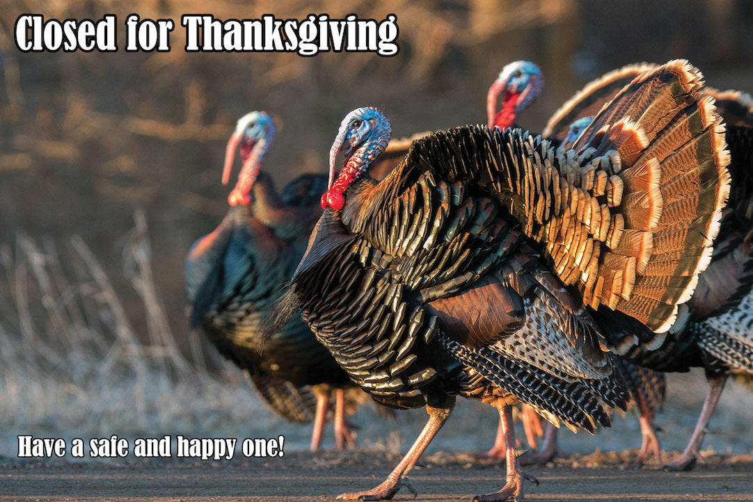 closed for thanksgiving image